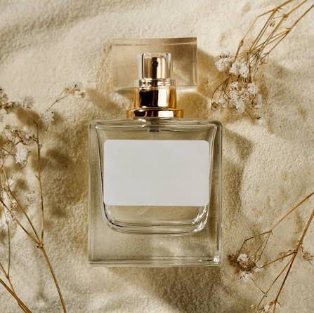 Perfume Trends